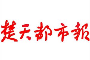 楚天都市报登报声明一般几天见报？