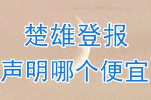 楚雄登报声明哪个便宜