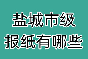 盐城市级报纸有哪些