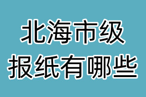 北海市级报纸有哪些