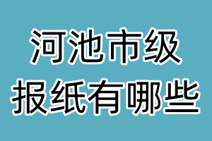 河池市级报纸有哪些