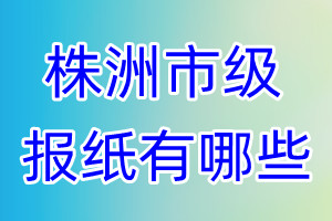 株洲市级报纸有哪些