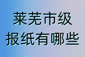 莱芜市级报纸有哪些