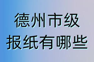 德州市级报纸有哪些