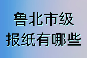 鲁北市级报纸有哪些