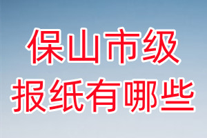 保山市级报纸有哪些