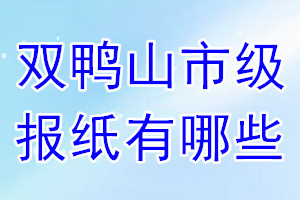 双鸭山市级报纸有哪些