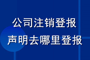 公司注销登报声明去哪里登报