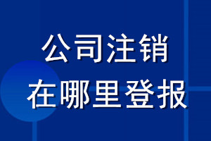 公司注销在哪里登报