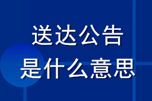 送达公告是什么意思